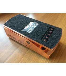 ERNIE BALL Ambient Delay