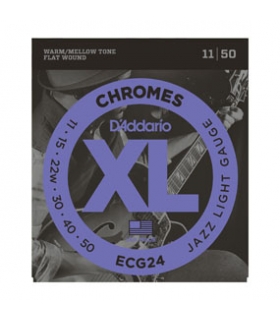 D'ADDARIO Electric ECG24 -...