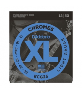 D'ADDARIO Electric ECG25 -...