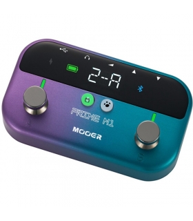 MOOER Prime M1