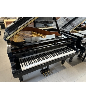 SCHIMMEL C174T - 1/2 coda...
