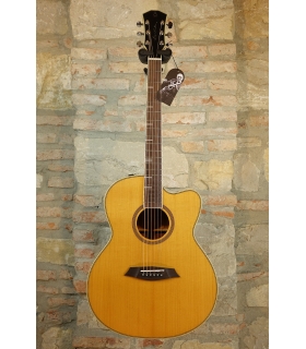 SIRE Larry Carlton A4-G NAT...