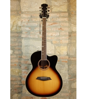 SIRE Larry Carlton A4-G VS...