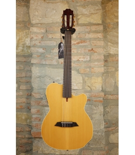 SIRE Larry Carlton G5n...