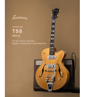 EASTMAN T58-GD - Hollow...