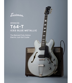 EASTMAN T64-T-IBM - Hollow...