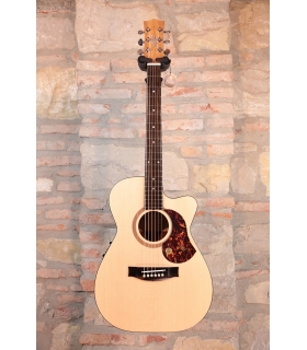 MATON SRS-808C Cutaway -...