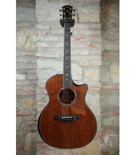 TAYLOR 814ce Builder's...