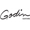 Godin