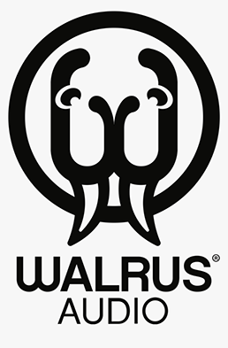 Walrus